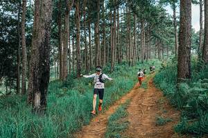 BIB: 
                            <button type="button" onclick="openModal(25740980)" class="btn btn-primary btn-sm float-right btn-popup" data-toggle="modal" data-target=".modal-high-quality">
                        <i class="fas fa-shopping-cart"></i> Add to Cart
                    </button>
                                            <button type="button" onclick="isThisMe(25740980, true)" class="btn btn-success btn-sm float-right btn-popup btn-isme hidden" data-toggle="tooltip" data-placement="bottom" title="นี่คือรูปของคุณใช่ไหม คลิกที่นี่เพื่อเอาเข้าอัลบั้ม">
                        <i class="fas fa-plus"></i> Add to album
                    </button>
                    <button type="button" onclick="isThisMe(25740980, false)" class="btn btn-warning btn-sm float-right btn-popup btn-isnotme hidden">
                        <i class="fas fa-ban"></i> Remove from album
                    </button>